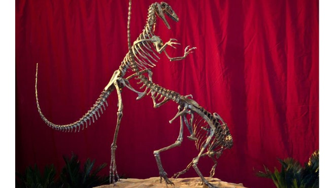 argentina dinosaur.jpg